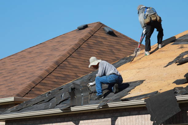 Best Sheet Metal Roofing  in Romney, WV